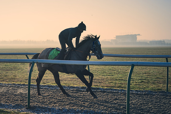 Southfields-002-Dominic-James-Horse-In-Training-4139