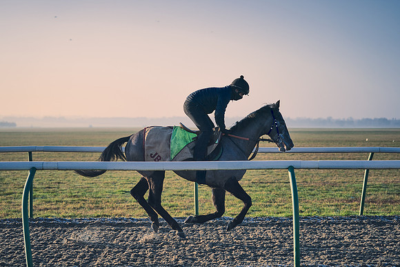 Southfields-002-Dominic-James-Horse-In-Training-4144