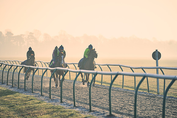 Southfields-002-Dominic-James-Horse-In-Training-4155