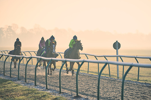 Southfields-002-Dominic-James-Horse-In-Training-4158