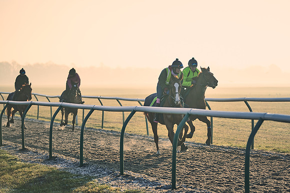 Southfields-002-Dominic-James-Horse-In-Training-4160