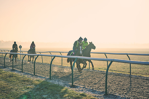 Southfields-002-Dominic-James-Horse-In-Training-4162