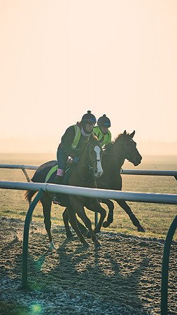 Southfields-002-Dominic-James-Horse-In-Training-4164