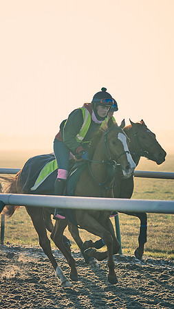 Southfields-002-Dominic-James-Horse-In-Training-4165