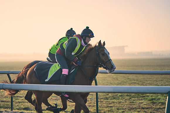Southfields-002-Dominic-James-Horse-In-Training-4167