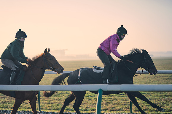 Southfields-002-Dominic-James-Horse-In-Training-4169