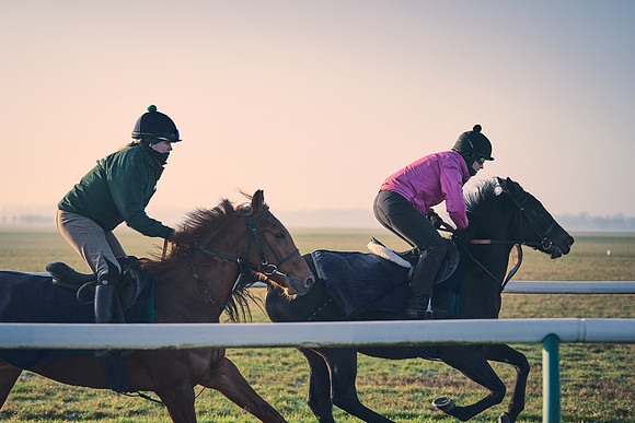 Southfields-002-Dominic-James-Horse-In-Training-4171