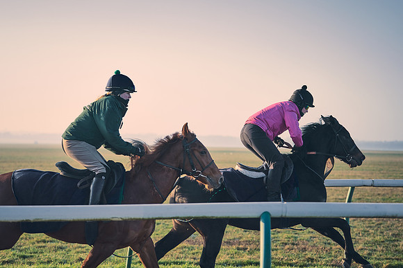 Southfields-002-Dominic-James-Horse-In-Training-4172