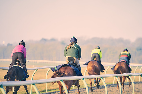 Southfields-002-Dominic-James-Horse-In-Training-4174