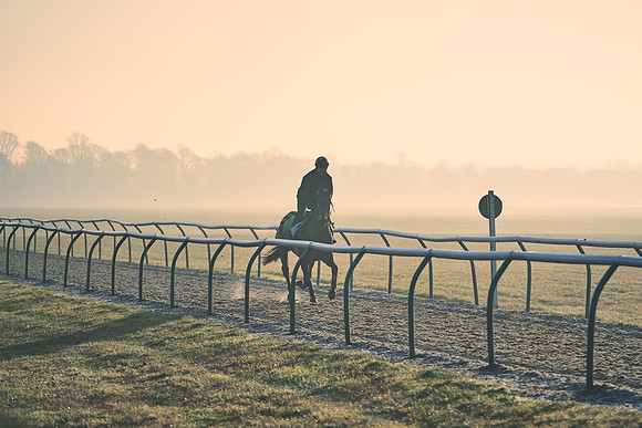Southfields-002-Dominic-James-Horse-In-Training-4176