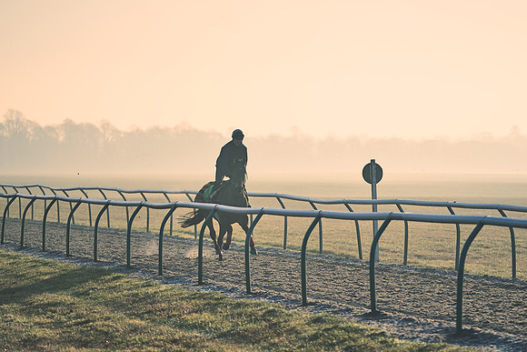 Southfields-002-Dominic-James-Horse-In-Training-4177