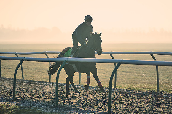 Southfields-002-Dominic-James-Horse-In-Training-4178
