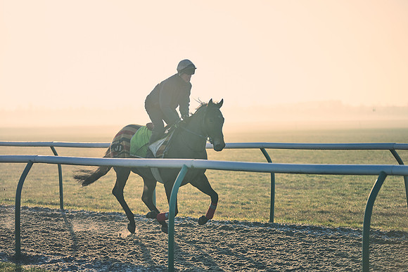 Southfields-002-Dominic-James-Horse-In-Training-4181