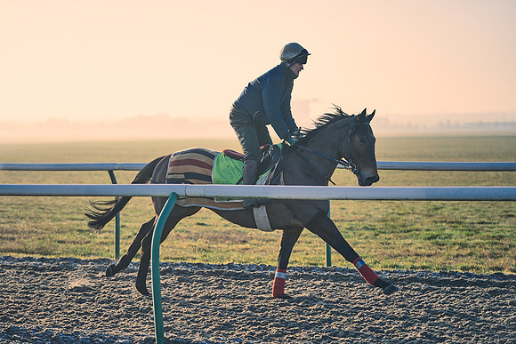 Southfields-002-Dominic-James-Horse-In-Training-4186