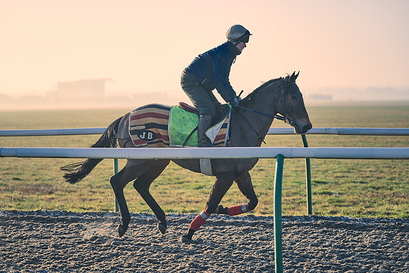 Southfields-002-Dominic-James-Horse-In-Training-4187