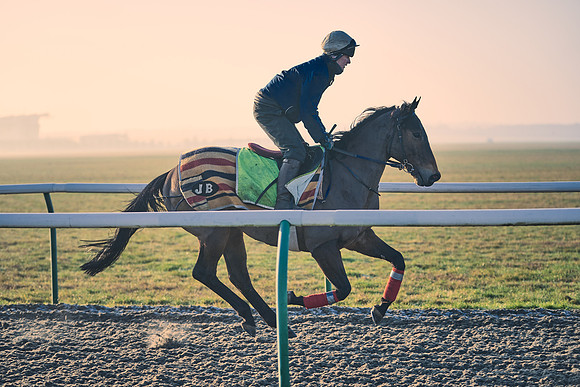 Southfields-002-Dominic-James-Horse-In-Training-4188