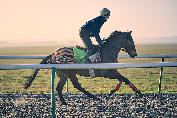 Southfields-002-Dominic-James-Horse-In-Training-4189