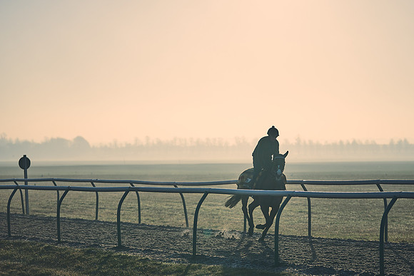 Southfields-002-Dominic-James-Horse-In-Training-4196