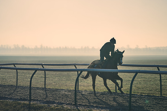 Southfields-002-Dominic-James-Horse-In-Training-4199