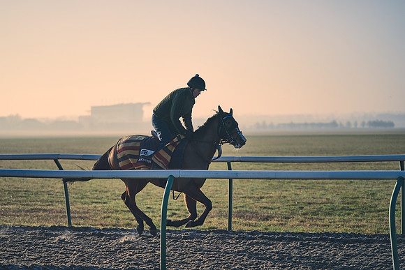 Southfields-002-Dominic-James-Horse-In-Training-4203