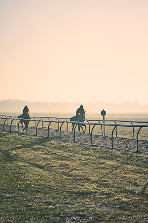 Southfields-002-Dominic-James-Horse-In-Training-4210