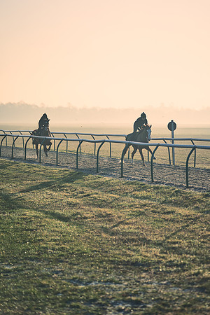 Southfields-002-Dominic-James-Horse-In-Training-4211