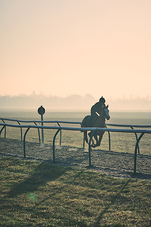 Southfields-002-Dominic-James-Horse-In-Training-4212