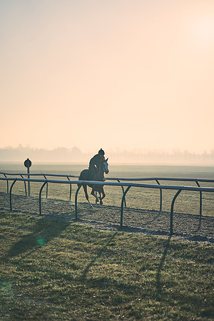 Southfields-002-Dominic-James-Horse-In-Training-4213