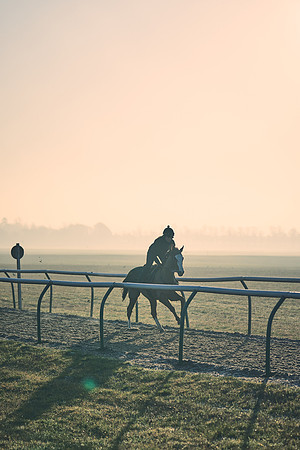 Southfields-002-Dominic-James-Horse-In-Training-4214