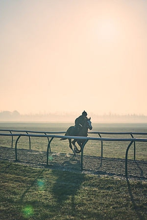 Southfields-002-Dominic-James-Horse-In-Training-4216
