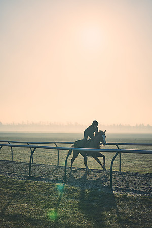 Southfields-002-Dominic-James-Horse-In-Training-4218