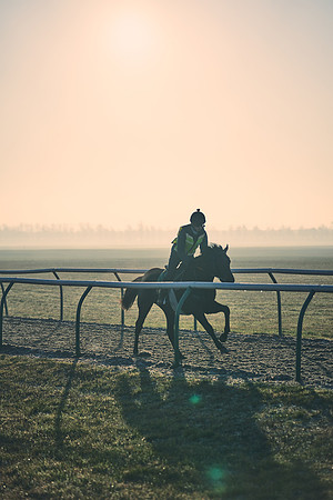 Southfields-002-Dominic-James-Horse-In-Training-4220