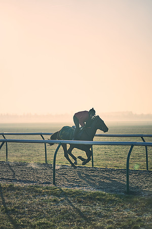 Southfields-002-Dominic-James-Horse-In-Training-4226