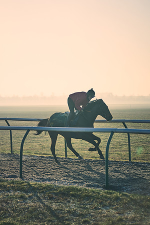 Southfields-002-Dominic-James-Horse-In-Training-4227