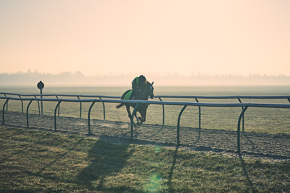 Southfields-002-Dominic-James-Horse-In-Training-4236