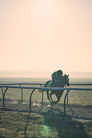 Southfields-002-Dominic-James-Horse-In-Training-4238