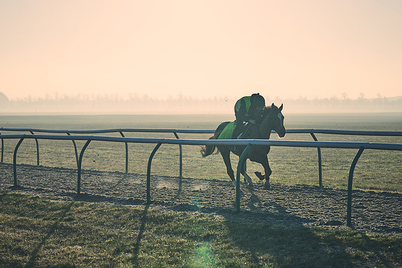 Southfields-002-Dominic-James-Horse-In-Training-4239