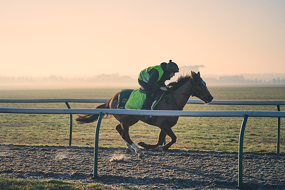 Southfields-002-Dominic-James-Horse-In-Training-4241