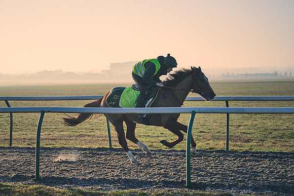 Southfields-002-Dominic-James-Horse-In-Training-4242