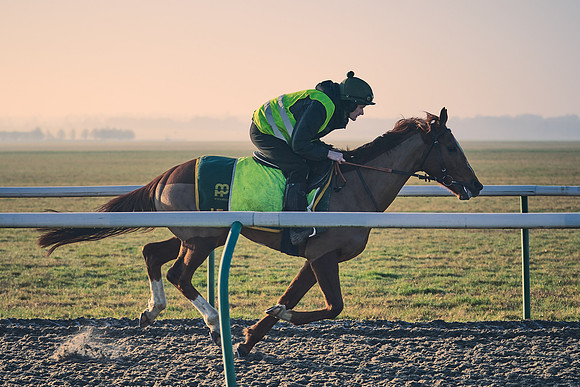 Southfields-002-Dominic-James-Horse-In-Training-4246