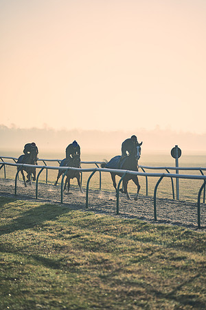 Southfields-002-Dominic-James-Horse-In-Training-4258