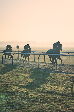Southfields-002-Dominic-James-Horse-In-Training-4260
