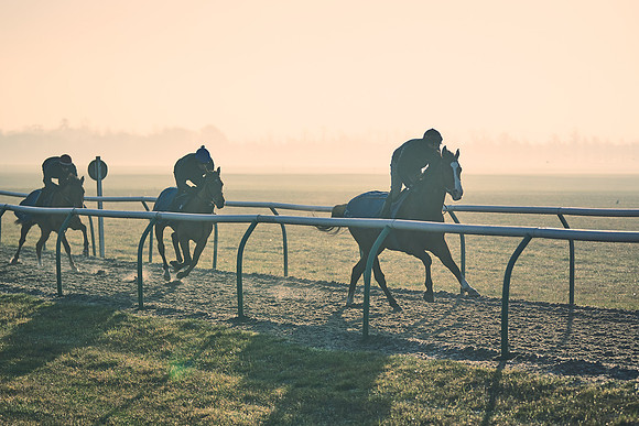 Southfields-002-Dominic-James-Horse-In-Training-4261