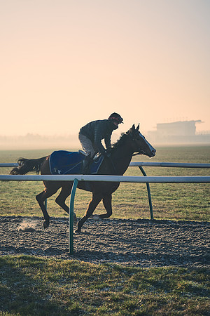 Southfields-002-Dominic-James-Horse-In-Training-4264