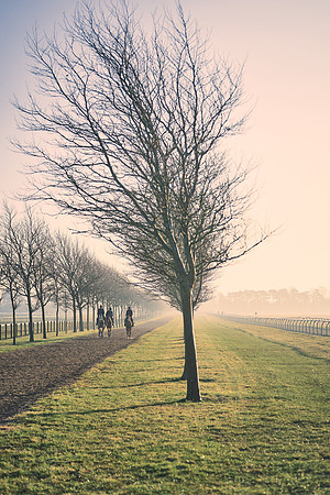 Southfields-002-Dominic-James-Horse-In-Training-4271