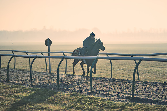Southfields-002-Dominic-James-Horse-In-Training-4284