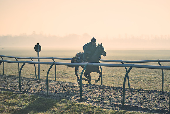 Southfields-002-Dominic-James-Horse-In-Training-4285