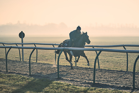 Southfields-002-Dominic-James-Horse-In-Training-4286