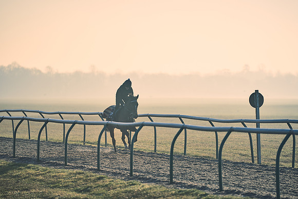 Southfields-002-Dominic-James-Horse-In-Training-4293