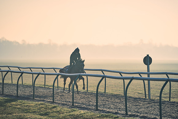 Southfields-002-Dominic-James-Horse-In-Training-4294